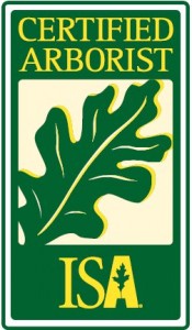 Certified Arborist Logo (002)