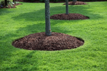 Landscape Maintenance 5 Landscape Maintenance 5