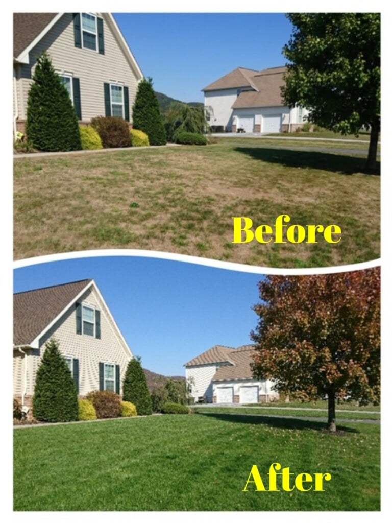 Whitehouse Landscaping Is a Reliable Source for "Lawn Fertilizer