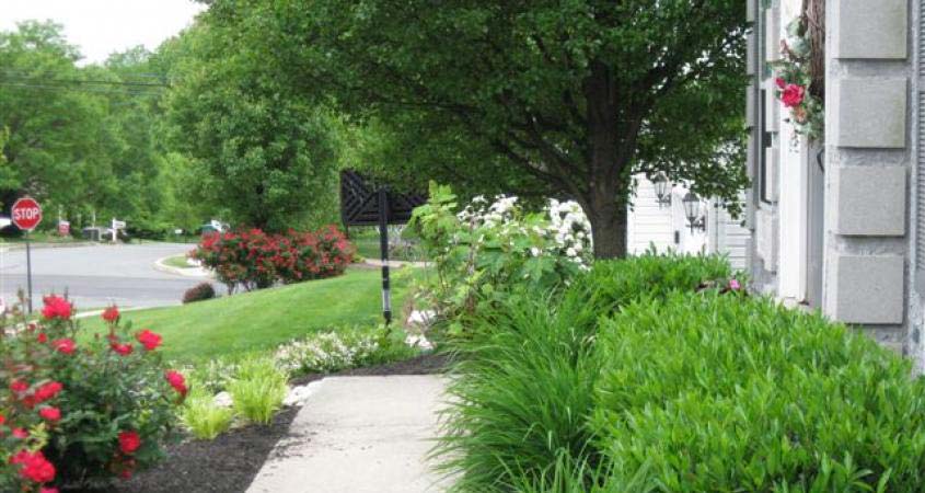 1Landscaping installation in Royersford