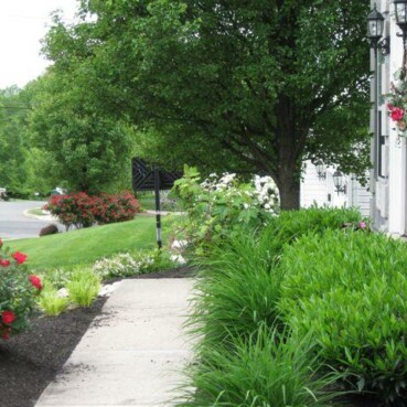 Landscaping Portfolio | Whitehouse Landscaping