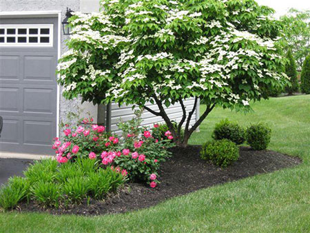landscaping-royersford-pa