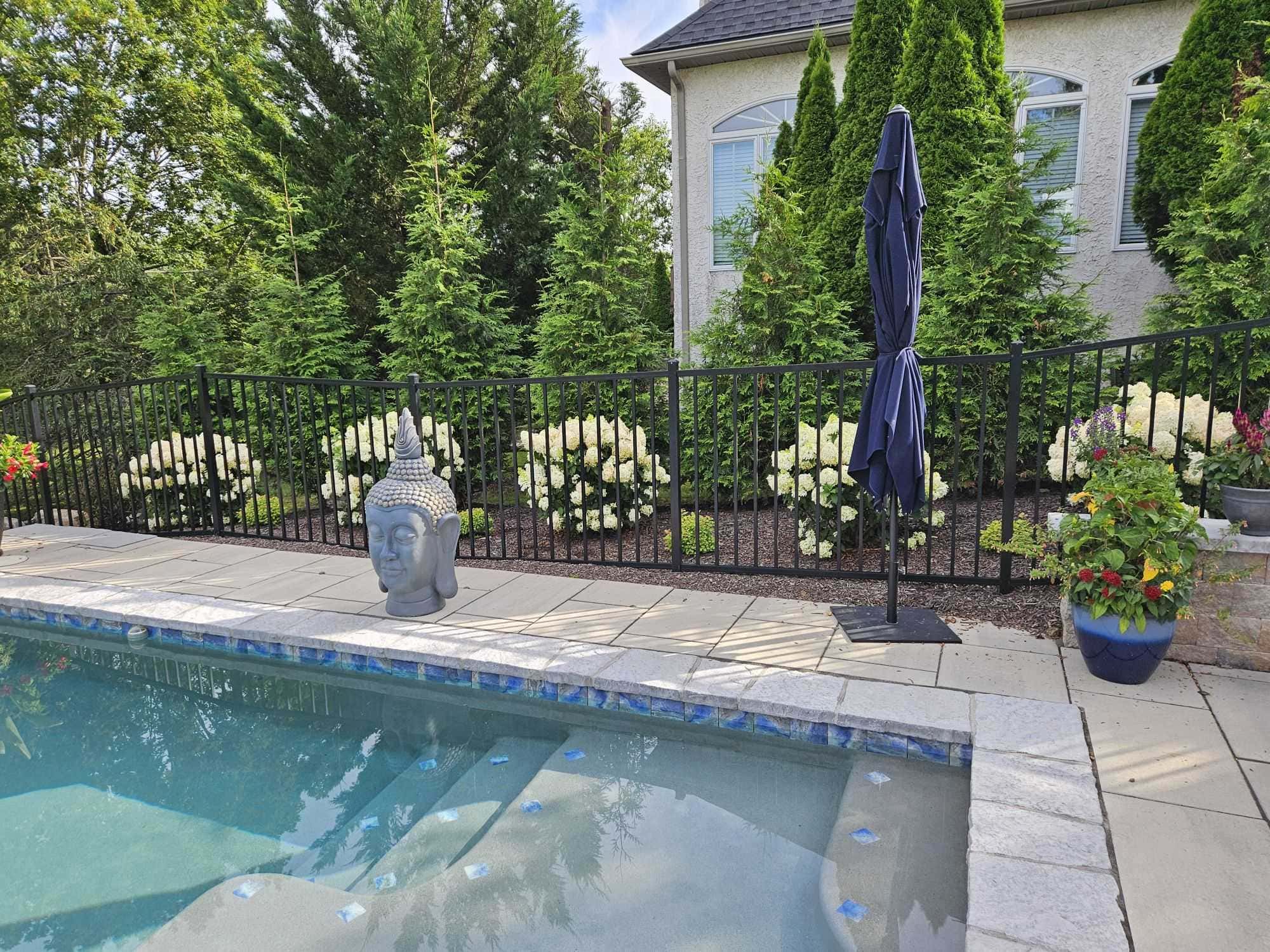Hydrangeas surrounding pool perimeter.