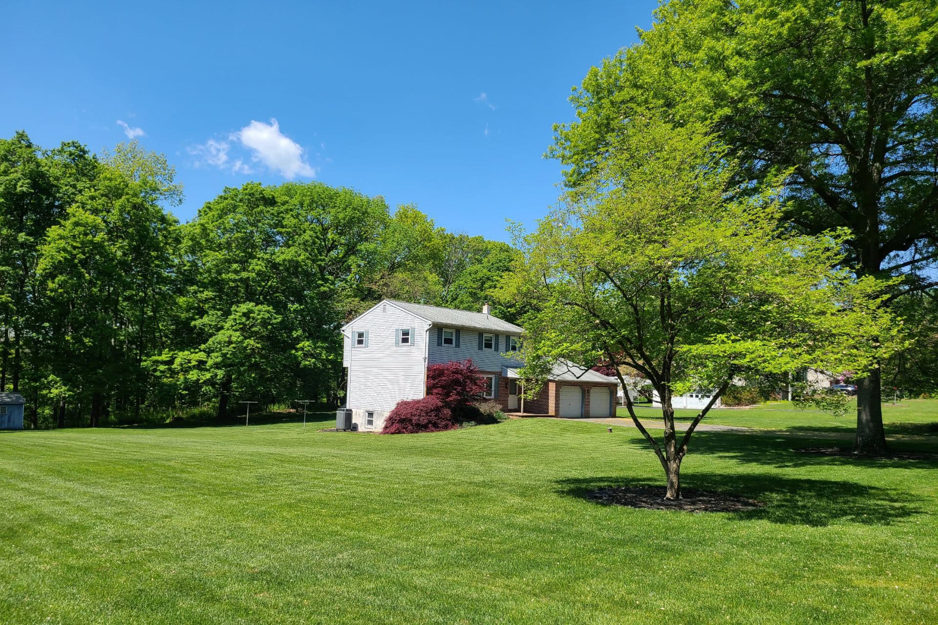 A client's lawn option 2-6-26