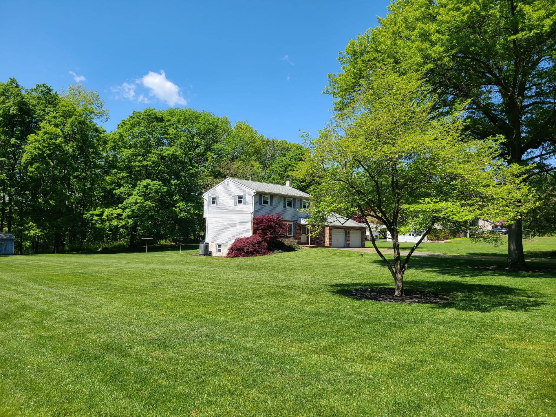 A client's lawn option 2