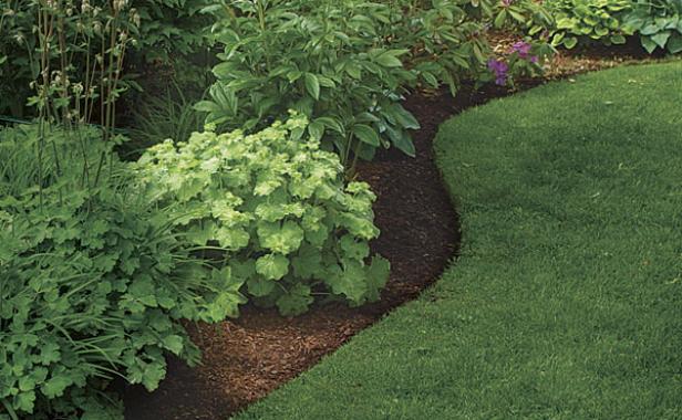 Edged beds give a finished look.