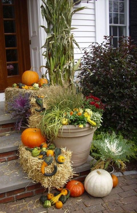 Fall Container