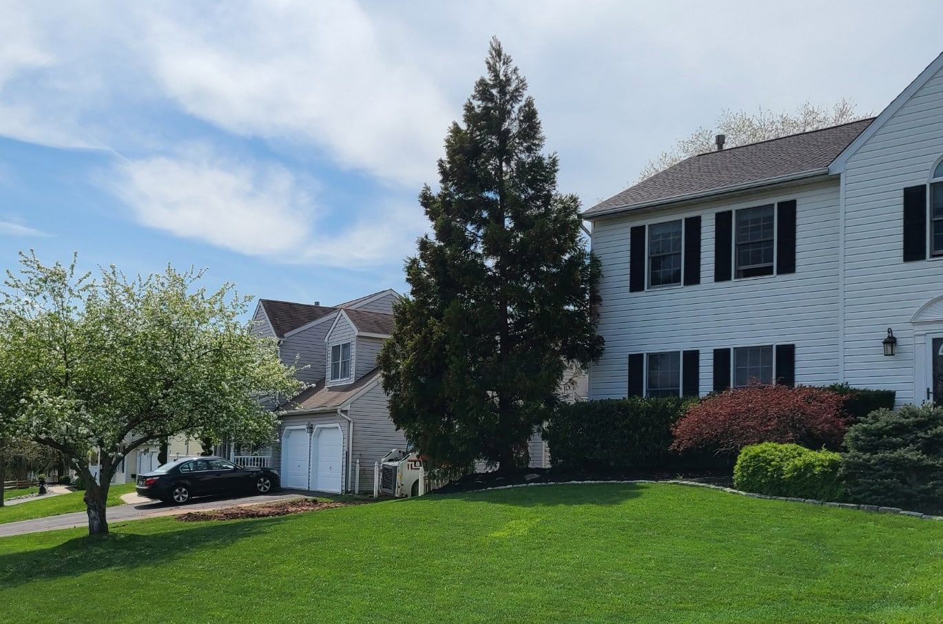 Healthy Lawn Option 1-6-26