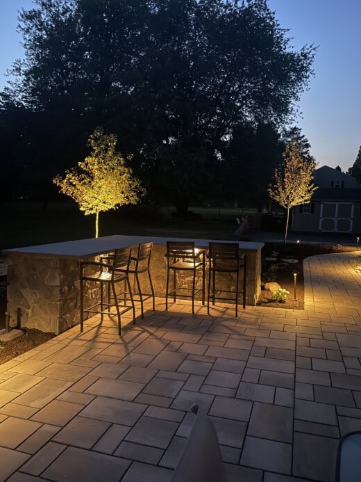 Uplighting of Tree in Malvern, PA