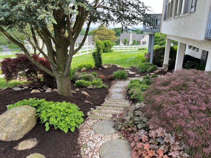 Paths keep paws clean