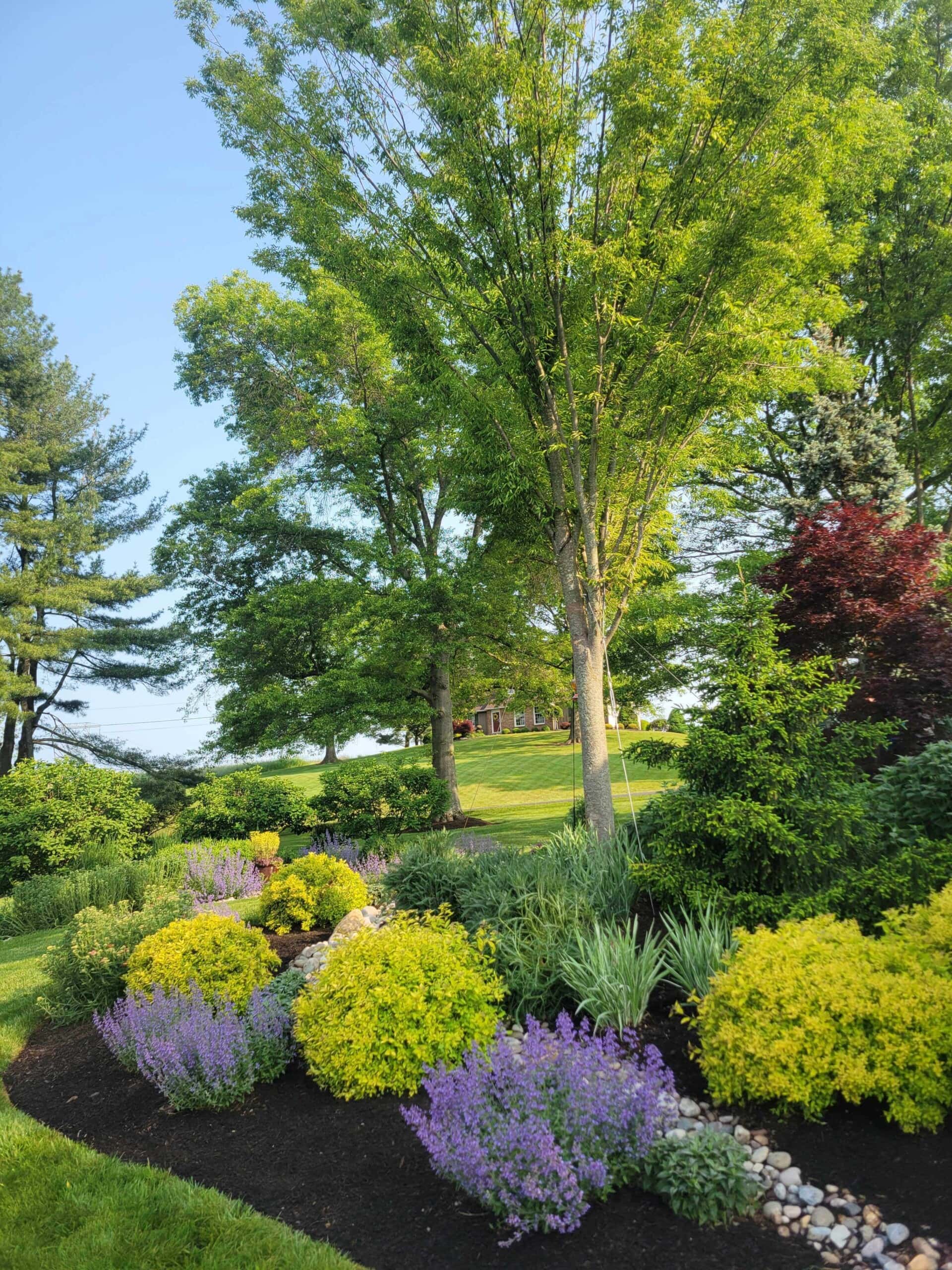 Landscaping Client Blank