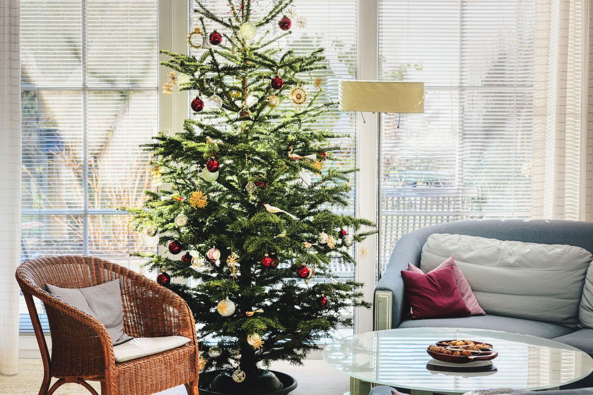 Pixabay Christmas Tree