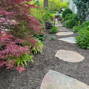 Flagstone stepping stones set in mulch.