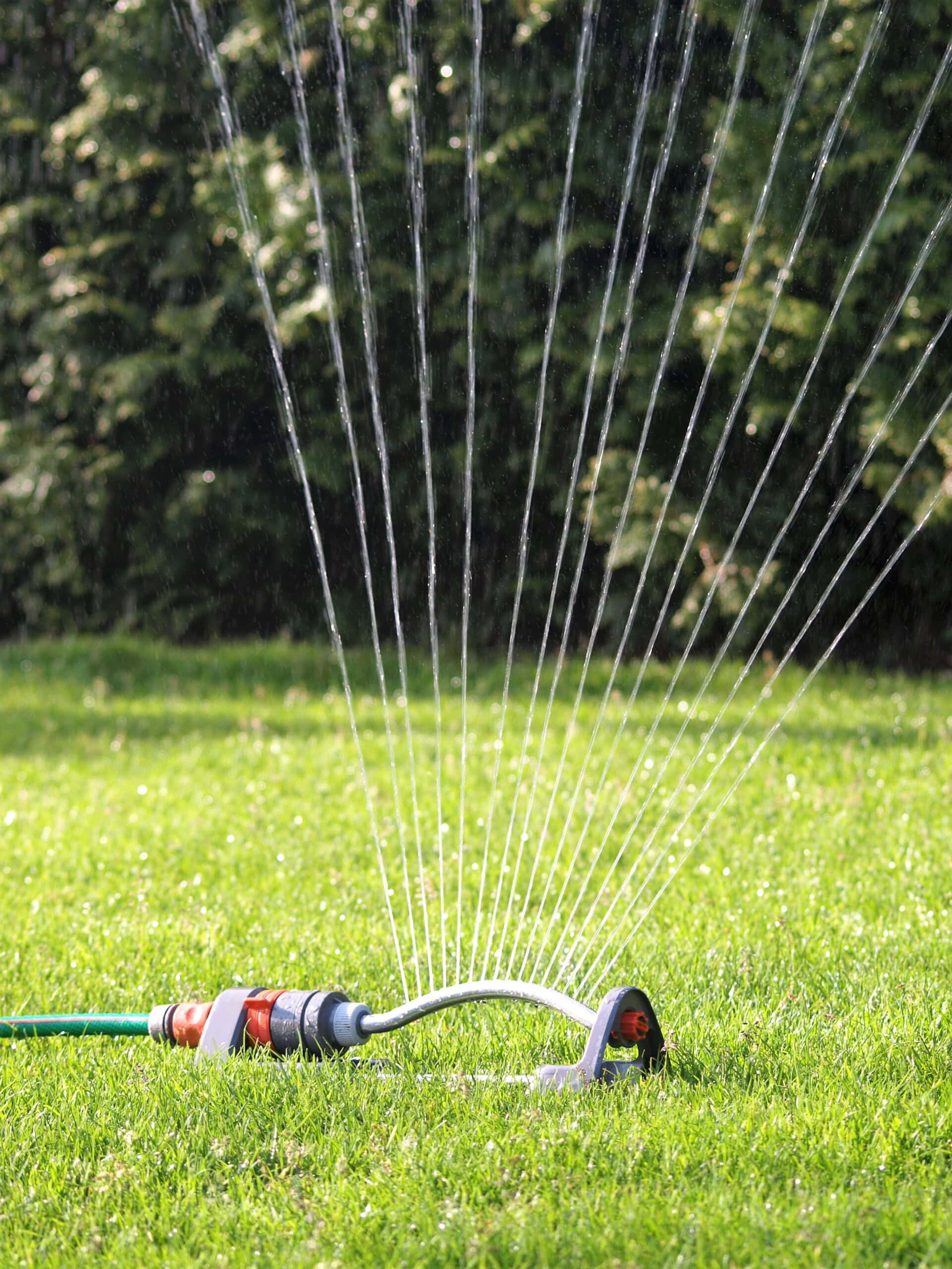 ariesa66-lawn-sprinkler-2366752.jpg pixabay