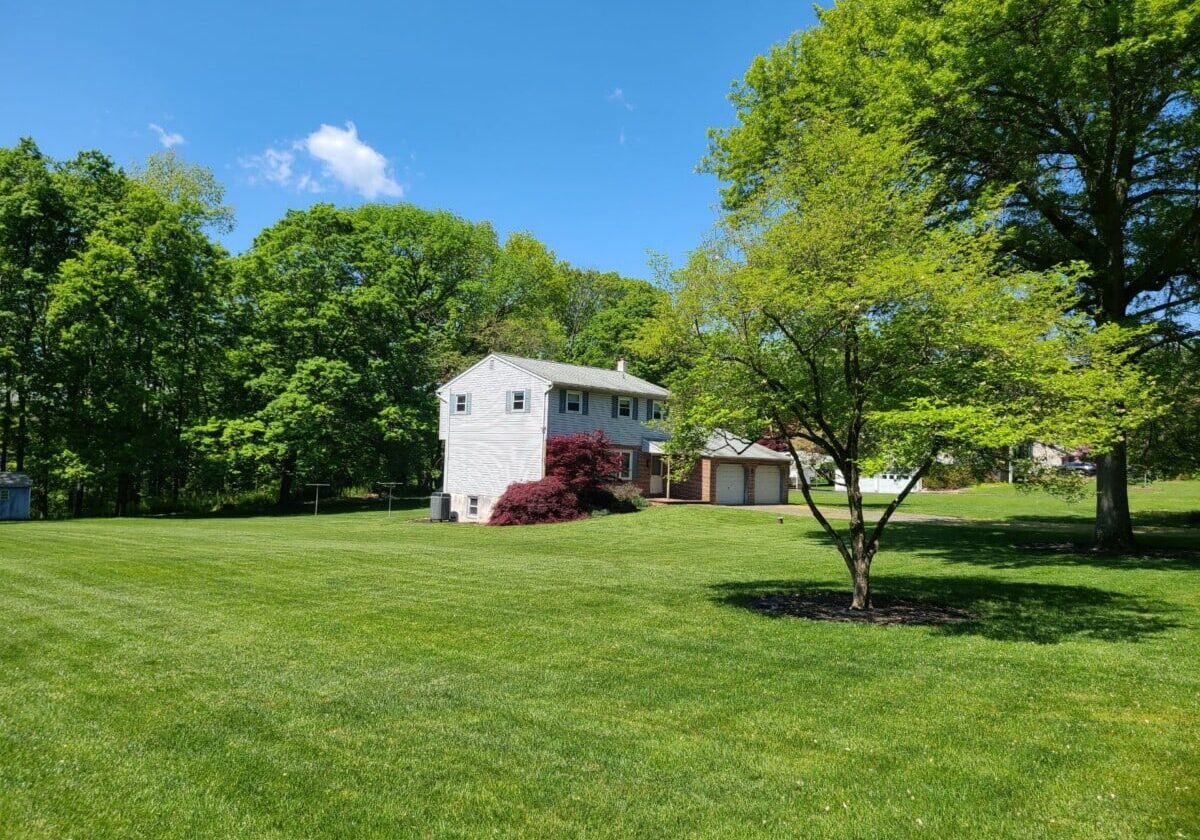 A client's lawn option 2