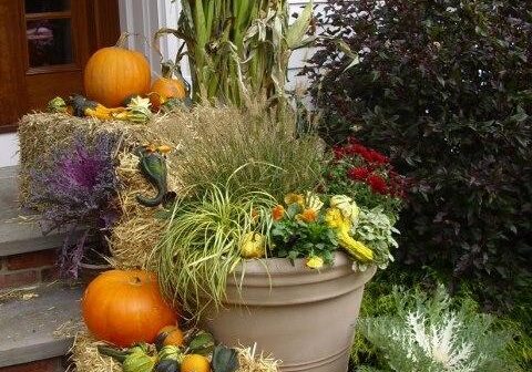 Fall Container
