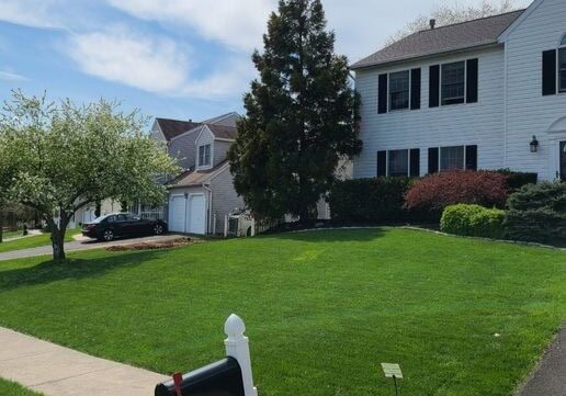 Healthy Lawn Edited