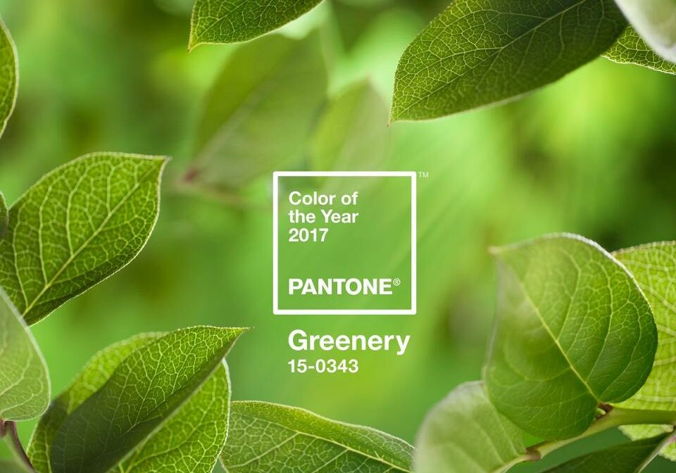 PANTONE-Color-of-the-Year-2017-Greenery-15-0343-leaves-2732x2048-1200x900