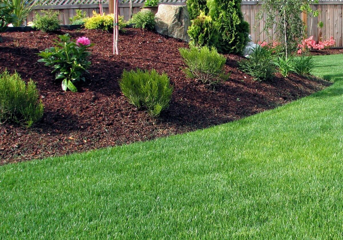 lawn and landscaping