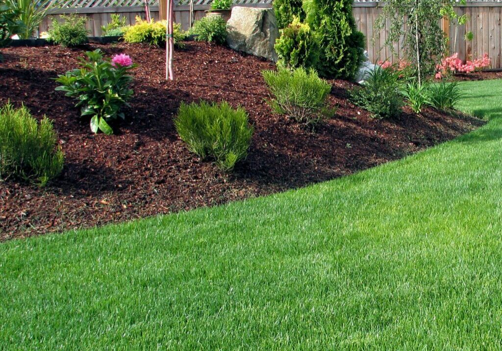 thick-green-weed-free-lawn-2_1