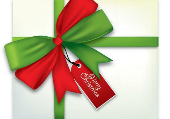 GIVE A GIFT CERTIFICATE THIS CHRISTMAS FOR LANDSCAPING