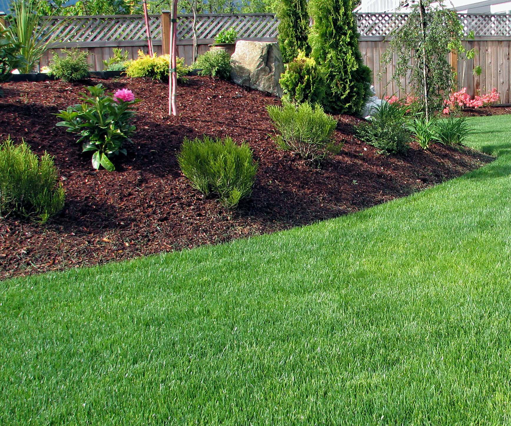 lawn and landscaping